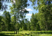 Более подробно  >>>