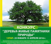Более подробно  >>>